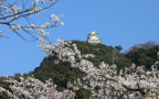 岐阜城跡